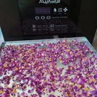 دستگاه میوه و سبزی و لواشک خشک کن تراشه پرداز|سایر لوازم برقی|تهران, بازار|دیوار