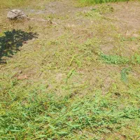 تیلرکار حمل  بلوک و شن و ماسه خاک باغچه ( باتیلر)
