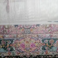 فرش نیمه کاره نقشه سالاری|فرش|تبریز, |دیوار