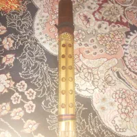 ساز بادی|سازهای بادی|شیراز, کرونی(خاتونک)|دیوار