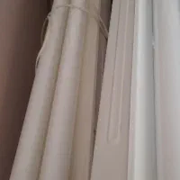 دو عدد مهتابی دوقلو سالم