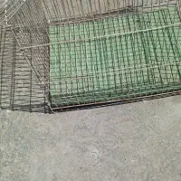 قفس پرنده سالم