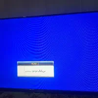 تلویزیون