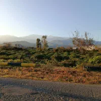 واجارگاه۴هزار مترکامل مسکونی