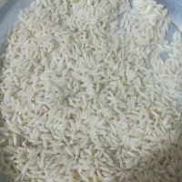 برنج علی کاظمی چغلوندی  سالم و نیم دانه به شرط