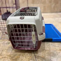 فروش لوازم پت|لوازم جانبی حیوانات|اصفهان, جلفا|دیوار