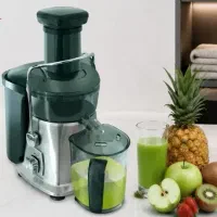 ابمیوه گیری مگنتا