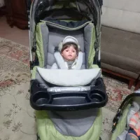 کالسکه و کریر کاپلا capella|کالسکه و لوازم جانبی|رشت, گیل|دیوار