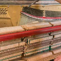 کوک و رگلاژ و کارشناسی پیانو آکوستیک|پیانو، کیبورد، آکاردئون|ارومیه, |دیوار