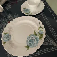 سرویس غذاخوری