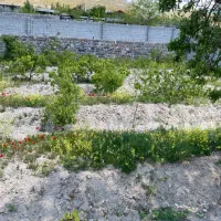فروش-باغ-مخصوص-ویلایی-در-کوی-ویلایی-آسمان-اسفهلان