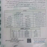 شراکت در تولیدی ،پرورش و غیره