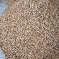 خریدار ارقام بادام بصورت نقدی بالاترین قیمت|خدمات باغبانی و درختکاری|شهرکرد, |دیوار