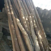 چوب ساختمانی