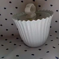 ظرف کیک وشیرینی فنجون