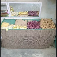 پالت میوه