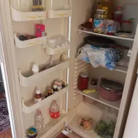 یخچال دوقلوی ارج