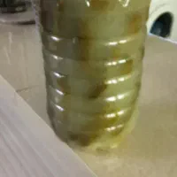 خیار شور خانگی