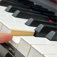 پیانو Samick کره|پیانو، کیبورد، آکاردئون|اصفهان, باغ زرشک|دیوار