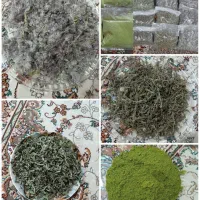 محصولات کوهی