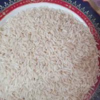 فروش برنج