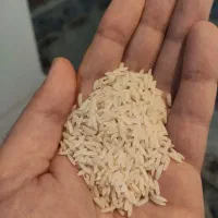 برنج هاشمی دانه بلند