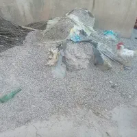 حدوددوتن نیم ماسه دارم میفروشمش ۲ملیون