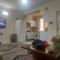 هم خانه خانم موجه