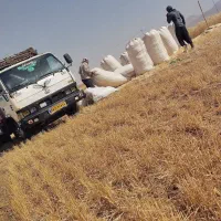 با سلام خرید فروش کاه گندم