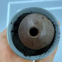 مهره هبهاب آفریقایی