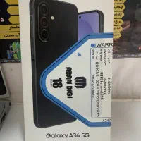A36 256
