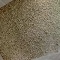 خاک گربه