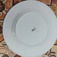 دیوار کوپ چینی|صنایع دستی و سایر لوازم تزئینی|تربتحیدریه, داروپخش|دیوار