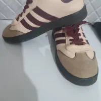 کفش نوع ترتمیز از موقعی که خریدم نپوشیدم|کیف، کفش، کمربند|گنبد کاووس, |دیوار