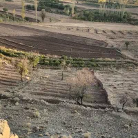 فروش-زمین-کشاورزی-درپاکمر