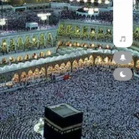 فیش حج واجب|تور و چارتر|یزد, |دیوار