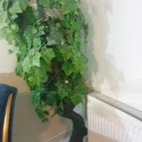 درختچه مصنوعی