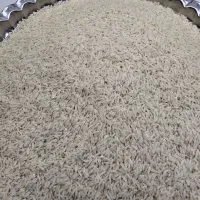 برنج دم سیاه درجه یک