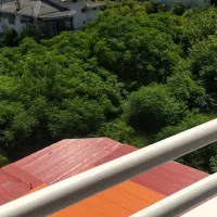 دوخوابه 100متری دوبلکس ویوداربانورگیرکامل|فروش آپارتمان|رامسر, |دیوار