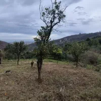 زمین-اربکله-تکرار-نشدنی