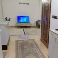 همخونه-میشم-خونه-دارم-در-صورت-نیاز