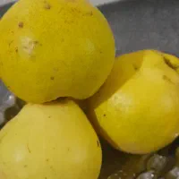 به کیلویی ۱۰۰