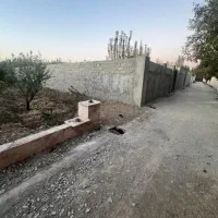 ۵۸۶ متر باغچه/سندتکبرگ/کردزار/کردامیر|فروش خانه و ویلا|شهریار, کرد امیر|دیوار