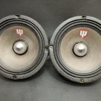 میدرنج سایز ۶.۵ تی تی سالم و کم کار