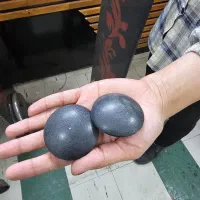 رگال و گیت|فروشگاه و مغازه|قائن, |دیوار