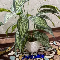 گل های درجه یک مصنوعی همراه با گلدان|گل مصنوعی|اهواز, کوی باهنر|دیوار