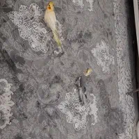 فرش ۱۵ متری