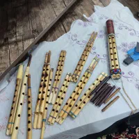 نی انبان|سازهای بادی|رشت, شهرک قدس|دیوار