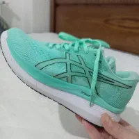 کفش|کیف، کفش، کمربند|میانه, |دیوار