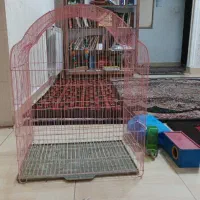 قفس بزرگ مرغ عشق